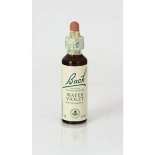 flores bach BACH 34 WATER VIOLET (VIOLETA DE AGUA) 20ml