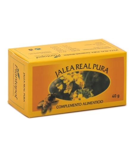 jaleas y energeticos JALEA REAL FRESCA 40GR