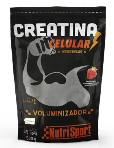 deporte CREATINA 500 GR